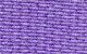 lilac(80x50).jpg - 2613 Bytes
